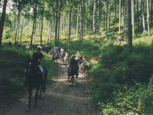 Green-Valley-Impressionen